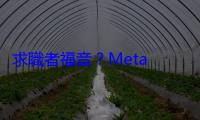 求職者福音？Meta 宣布「面試新制」，就是要你用 AI