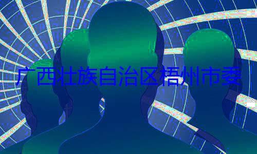 被查广西壮族自市长李振品治区梧州市委副书记